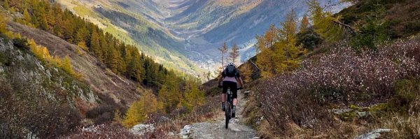 cycle_wise Profile Banner