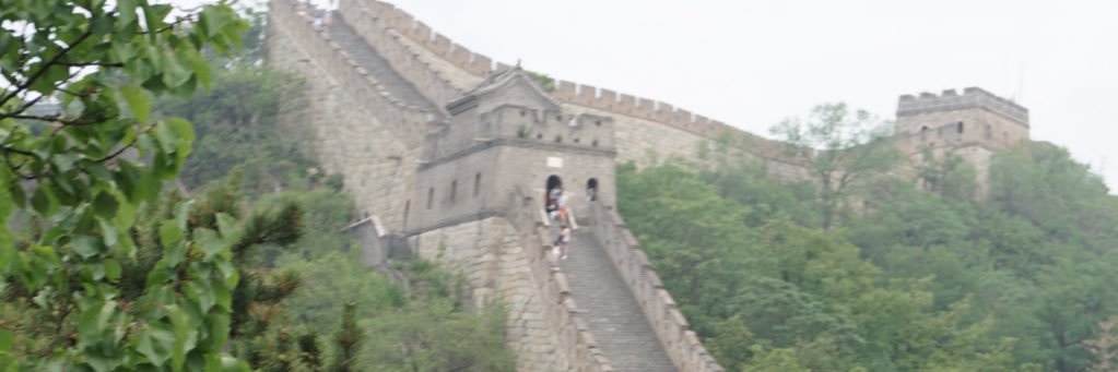 Dr Sharon Bateman💙 banner