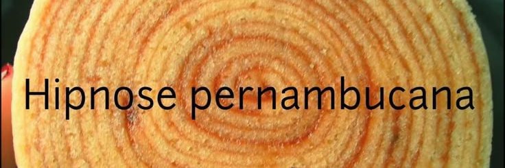 ninacomk's profile banner image