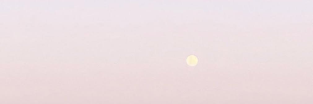 fanyu__lin's profile banner image