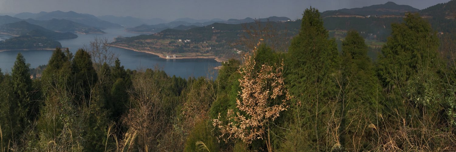 TeddyHo0o's profile banner image