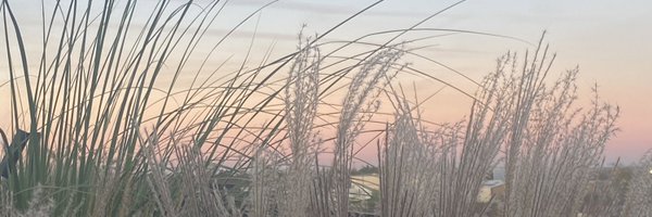 keks__cookie Profile Banner