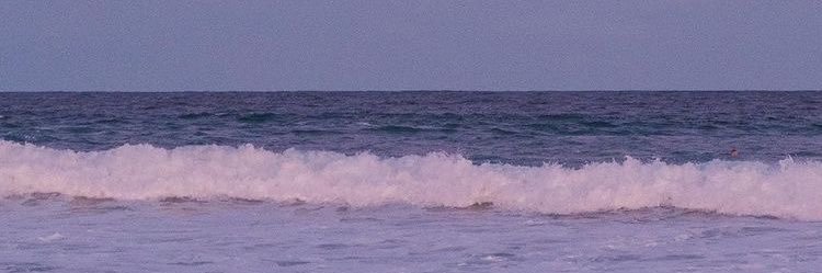 malayasikari's profile banner image