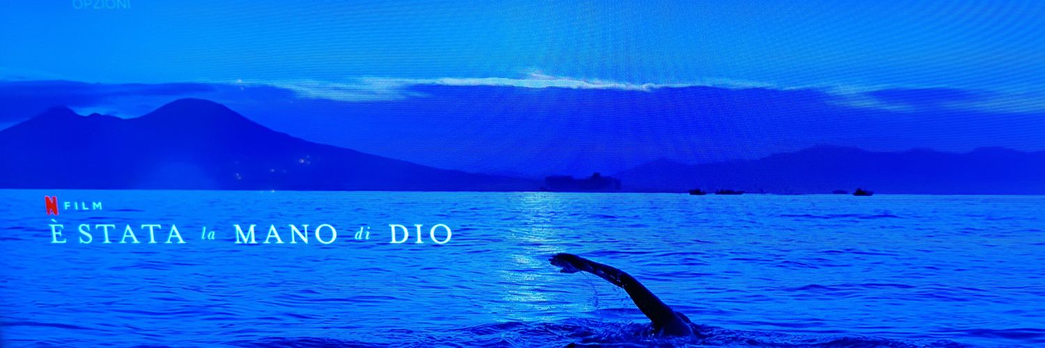 Alessandro Fabbiani spunta bau blù🐬 banner