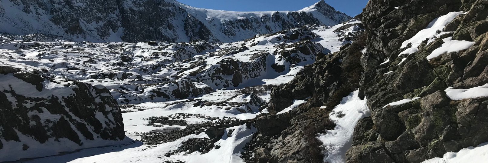 MSGAnderson's profile banner image
