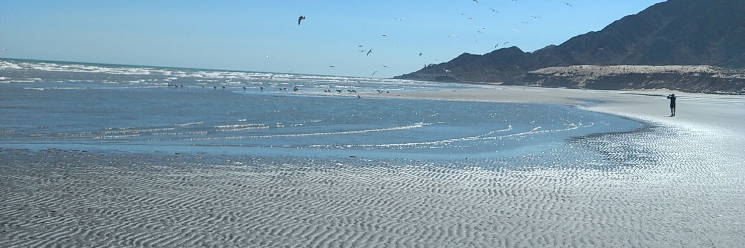 ☠marcos 77 💀 banner