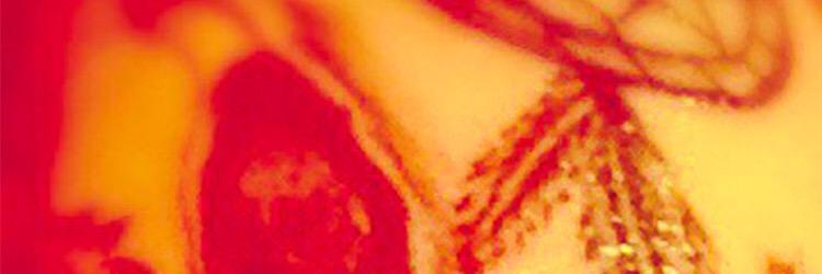 sevenK banner