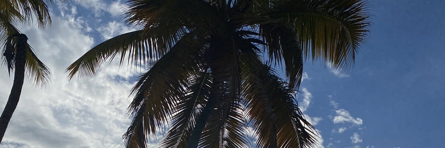 Ivan_DeFrias's profile banner image