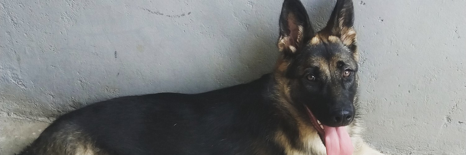 Mike_Mutero's profile banner image