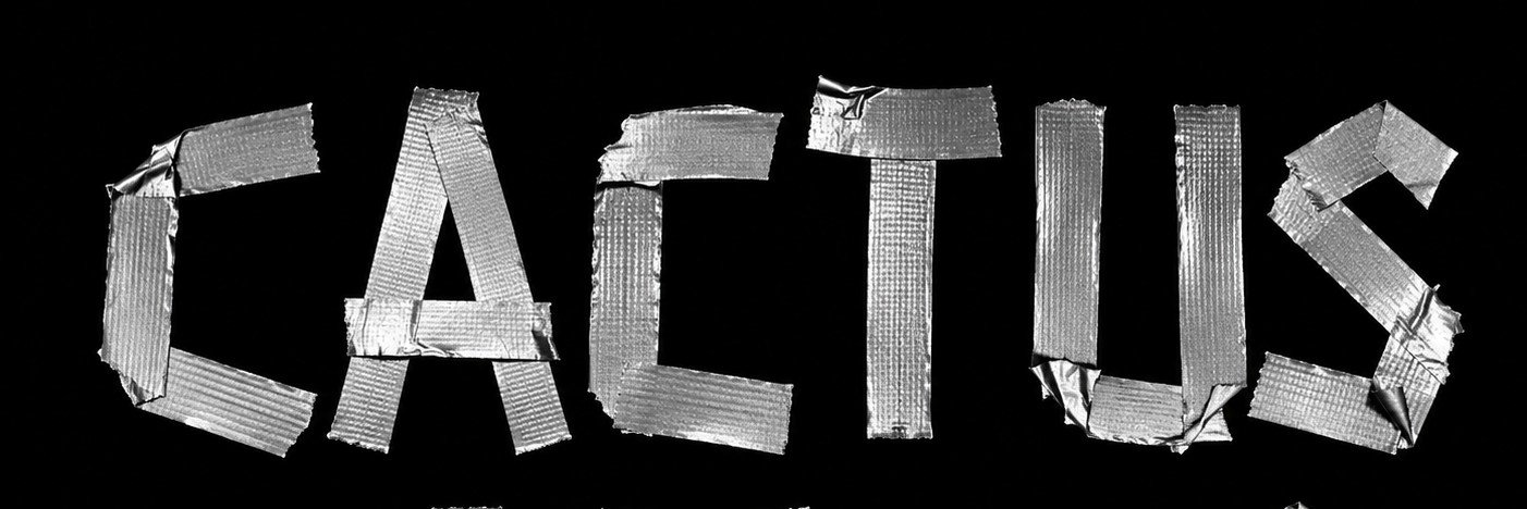 CactusfnChris's profile banner image