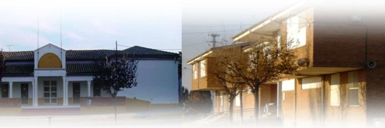 Escola Almacelles banner