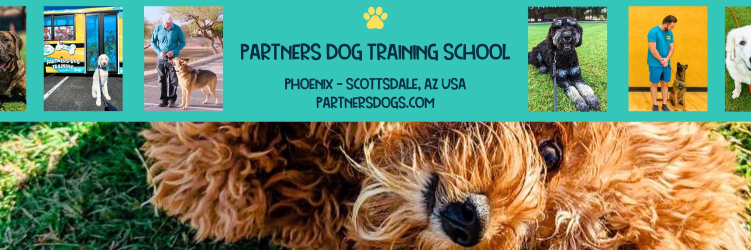 partnersdogs's profile banner image