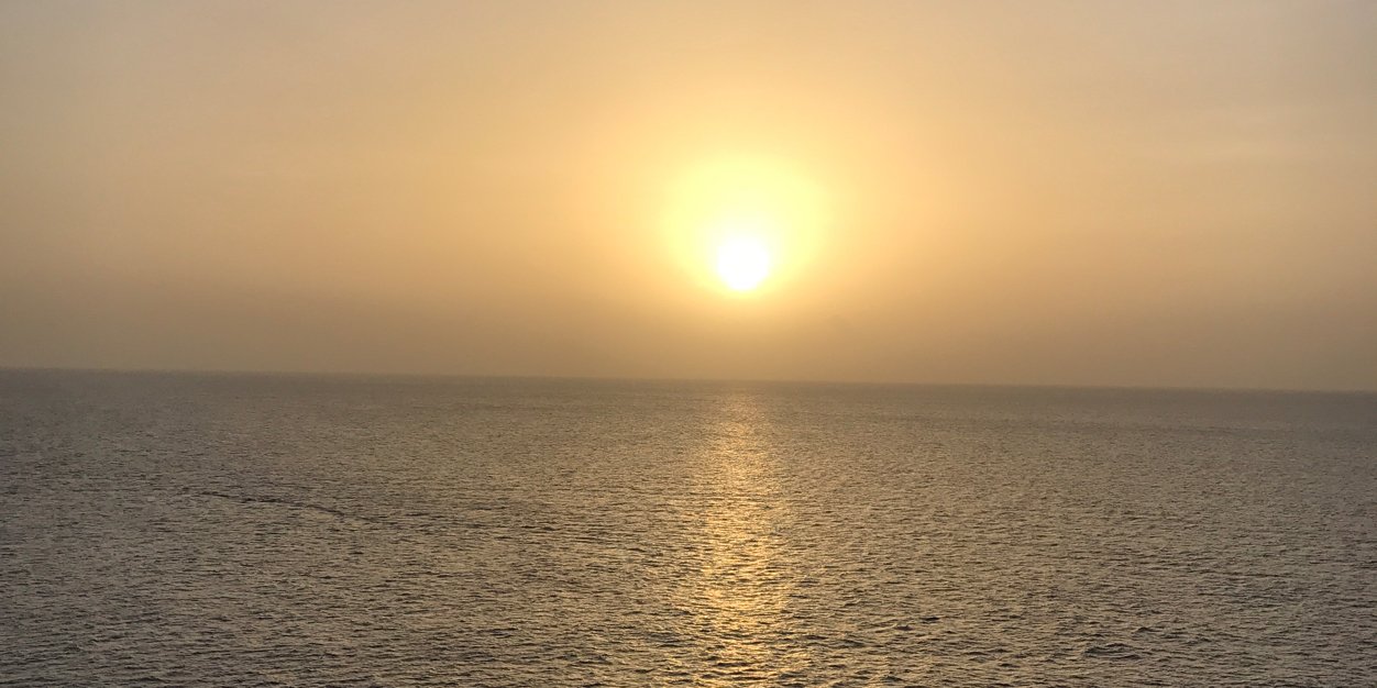 Sister Mary Clarence banner