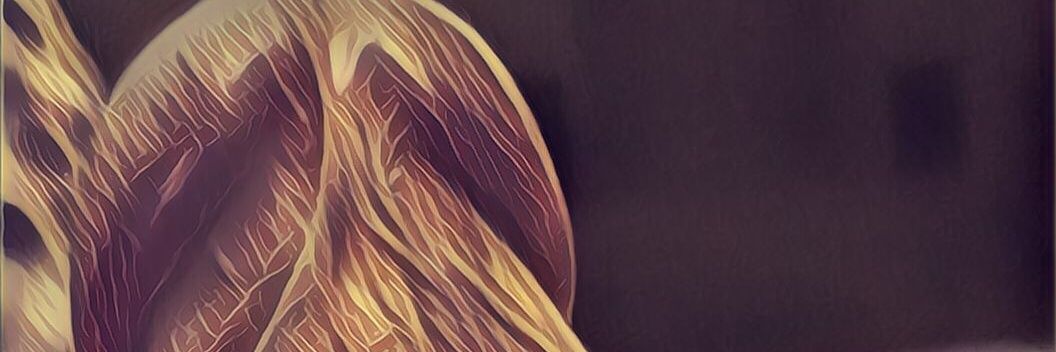 0371young's profile banner image