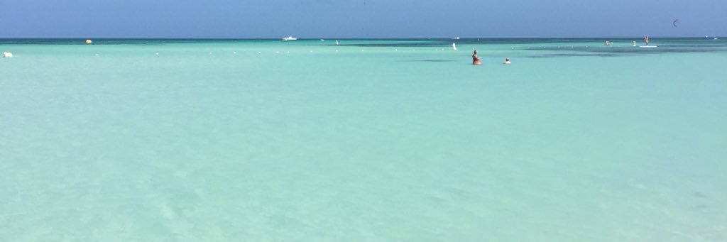 ant_fas's profile banner image