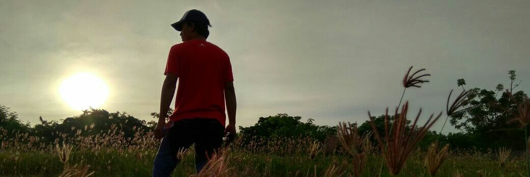 Ydiarchipellago's profile banner image