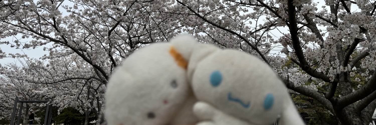 sanamon47's profile banner image
