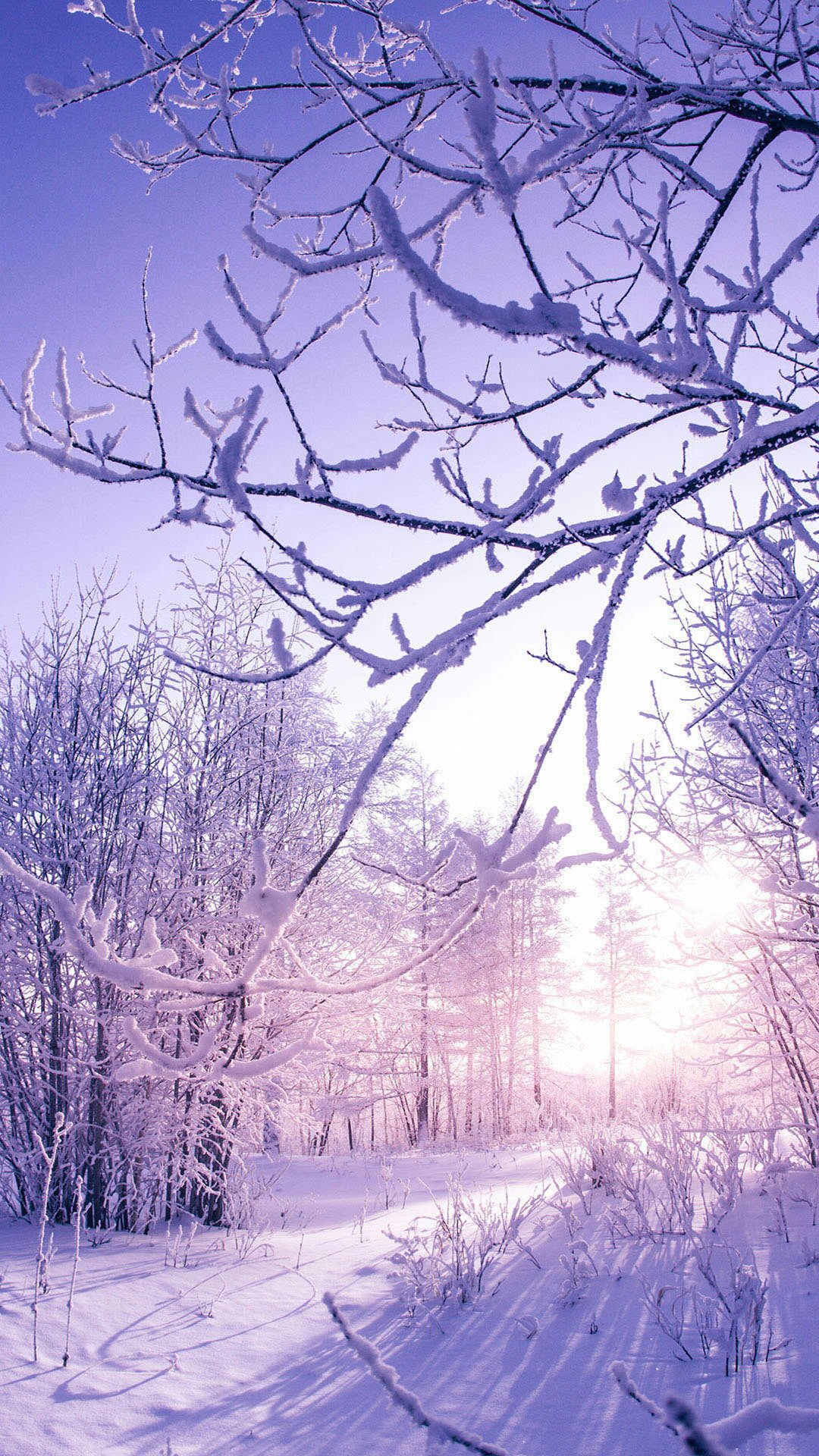 UrRoyalJayness's profile banner image