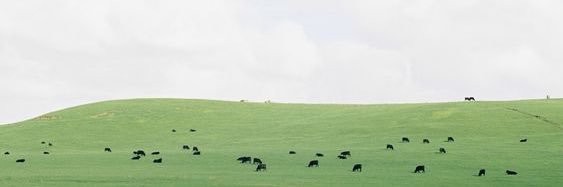 suffsun ◡̈⃝♡ ꒰ พรี mardi marithe ⊹ 🧀🌧 banner