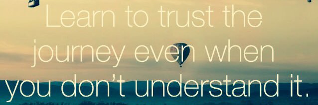 Santi Freixa Escude banner