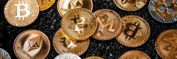 cryptowealth808's profile banner image