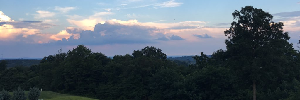 tayyhahn's profile banner image