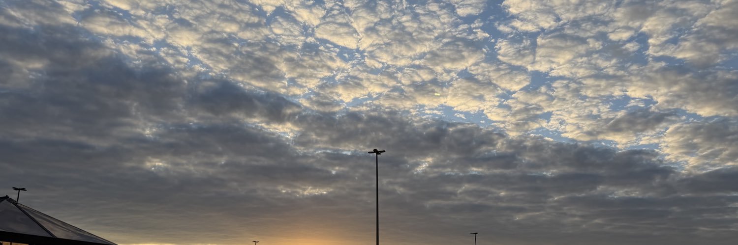 Provolone you gone banner