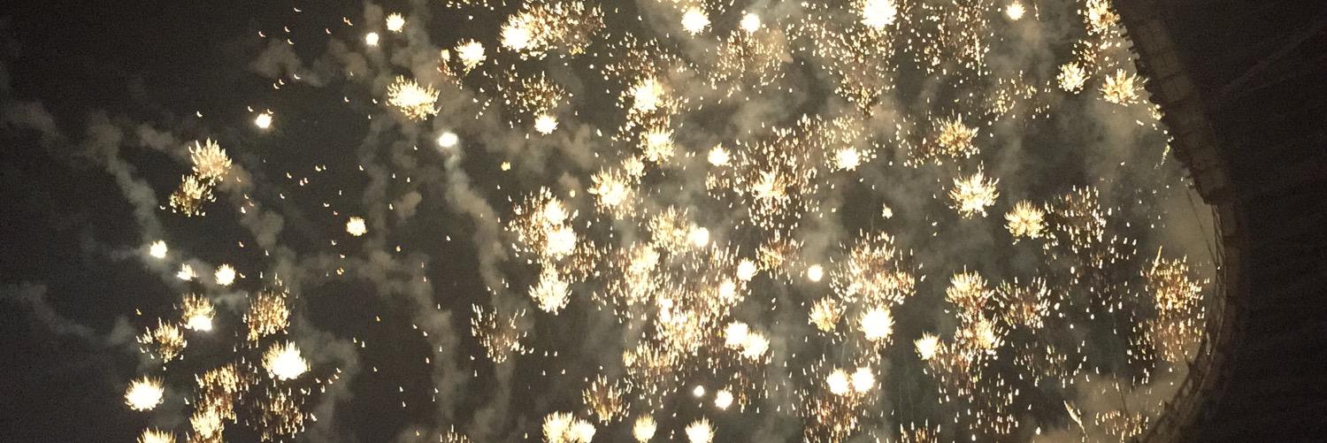 itsnarrybeanie's profile banner image
