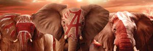 topperg's profile banner image