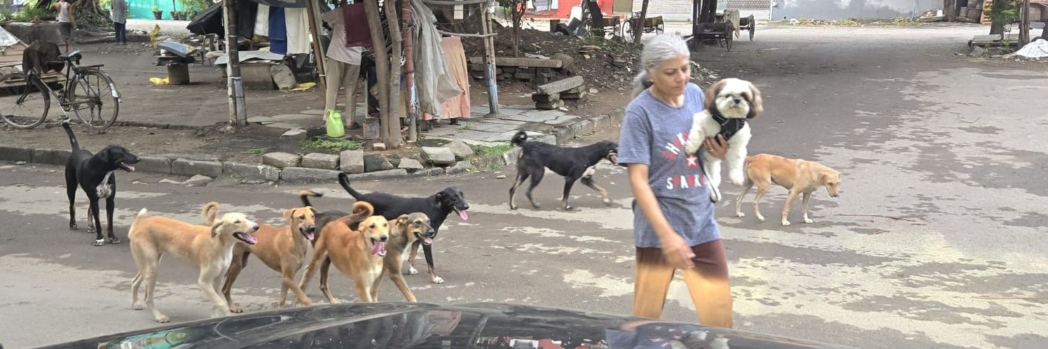 Gursagar Puniah banner