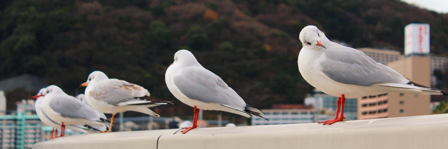 848919's profile banner image