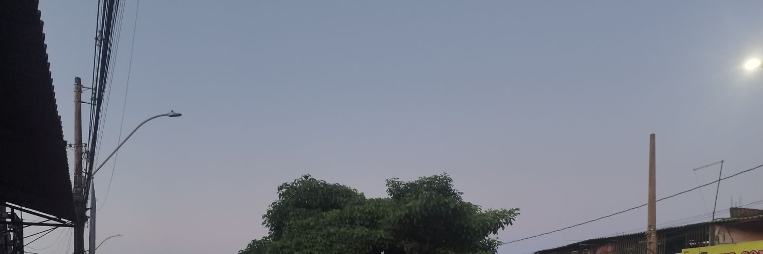 SINGELO banner