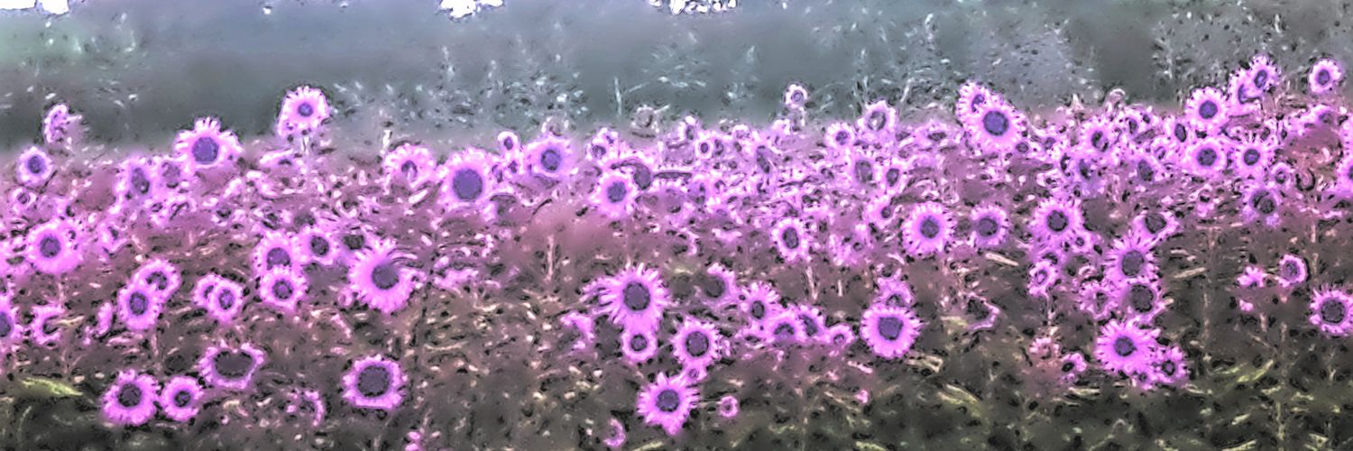 rickytuba's profile banner image