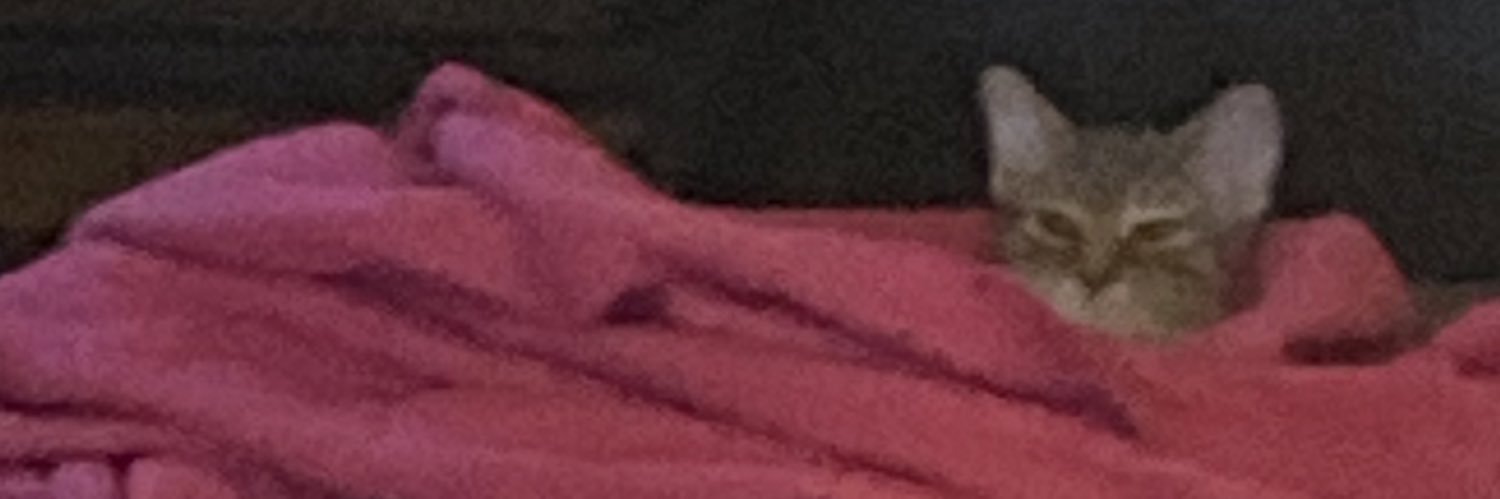 lily_firth's profile banner image