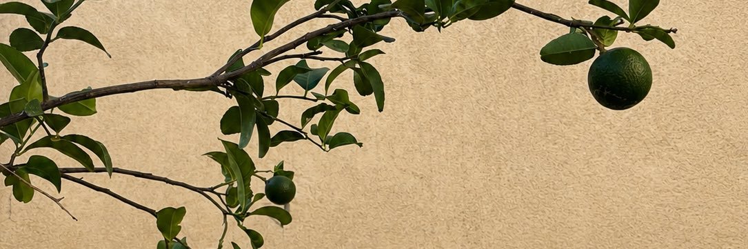 TatisSofia's profile banner image