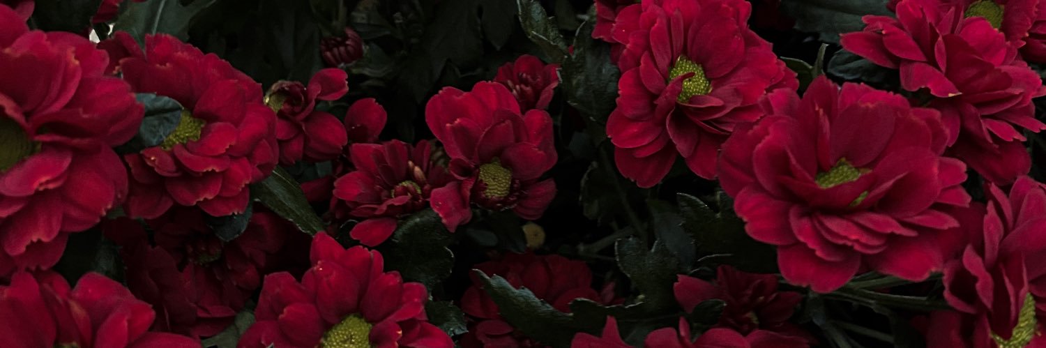 krantova's profile banner image