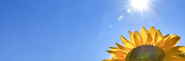 donaisyon's profile banner image