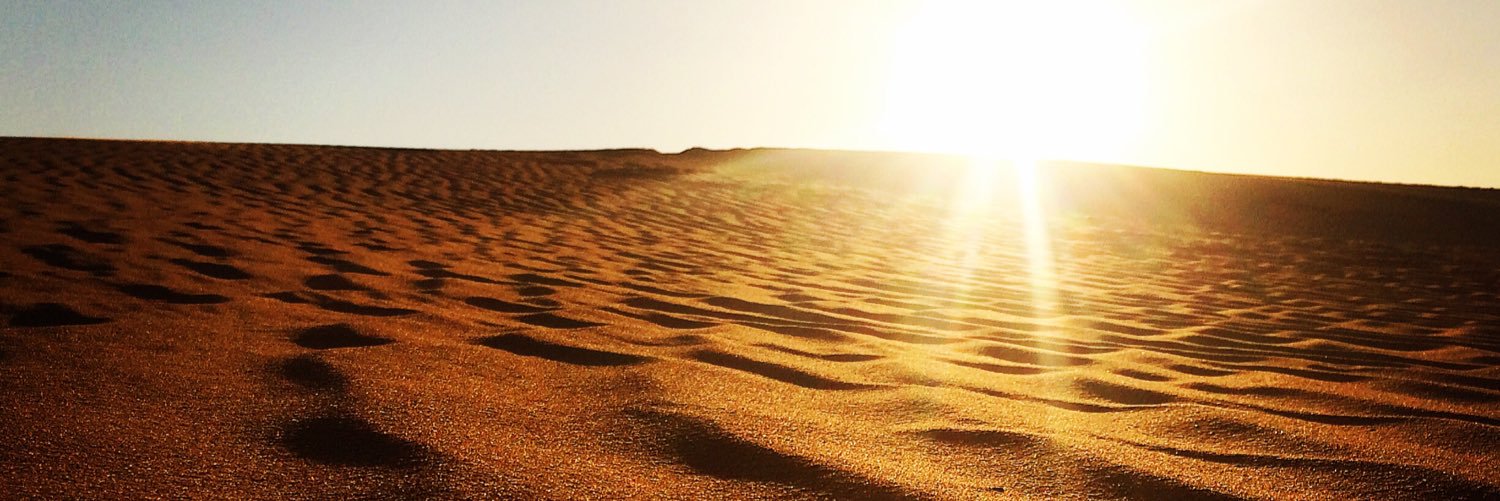 GusPe 🇨🇴👨🏻‍🌾☕️ 🕊🌱🍫👳🏻‍♂️🇸🇦 banner