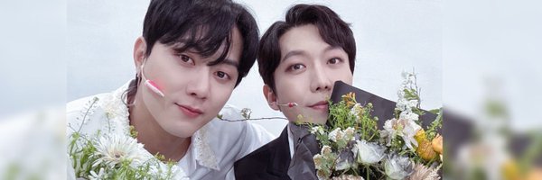 forestayel Profile Banner