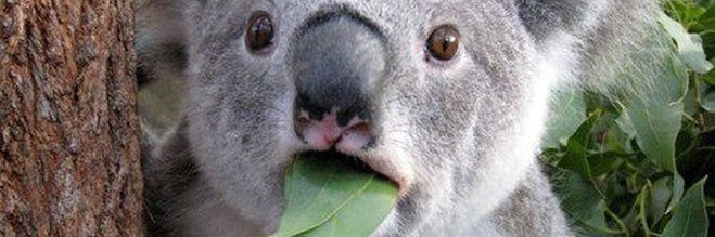 Yissuschrist's profile banner image