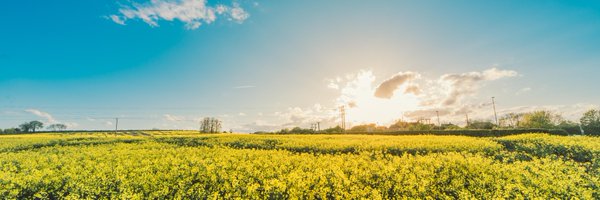 Aemetis Profile Banner