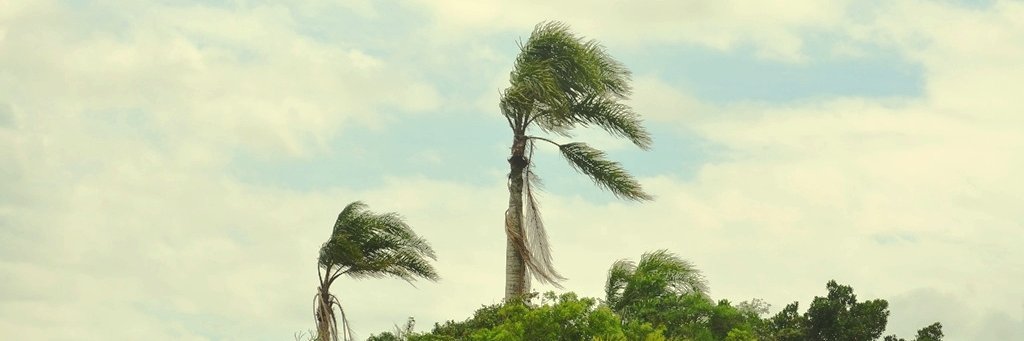 ROBERTOAHORTA's profile banner image