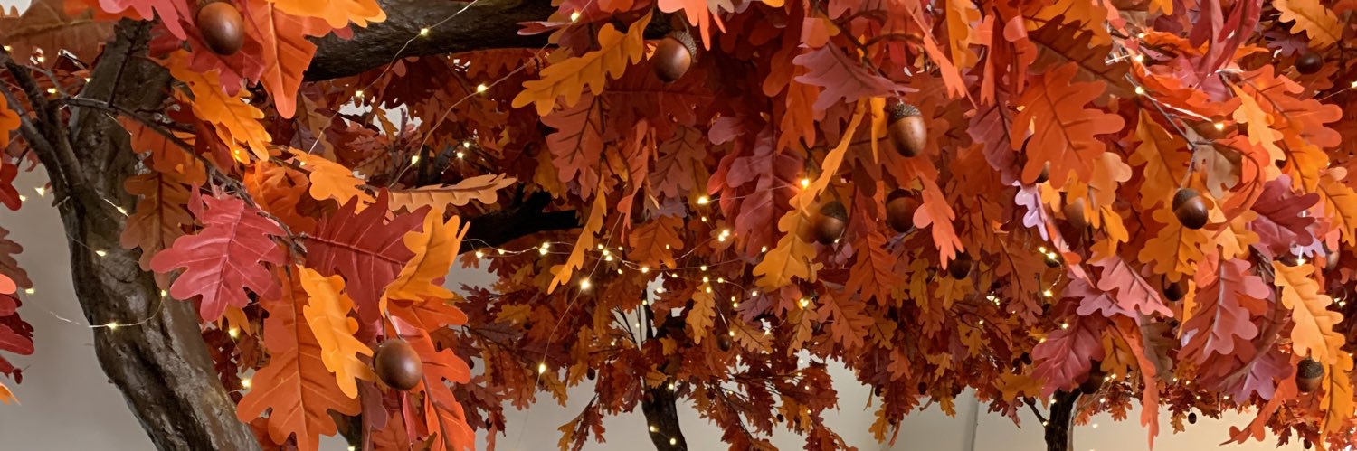 KSC Librarian banner