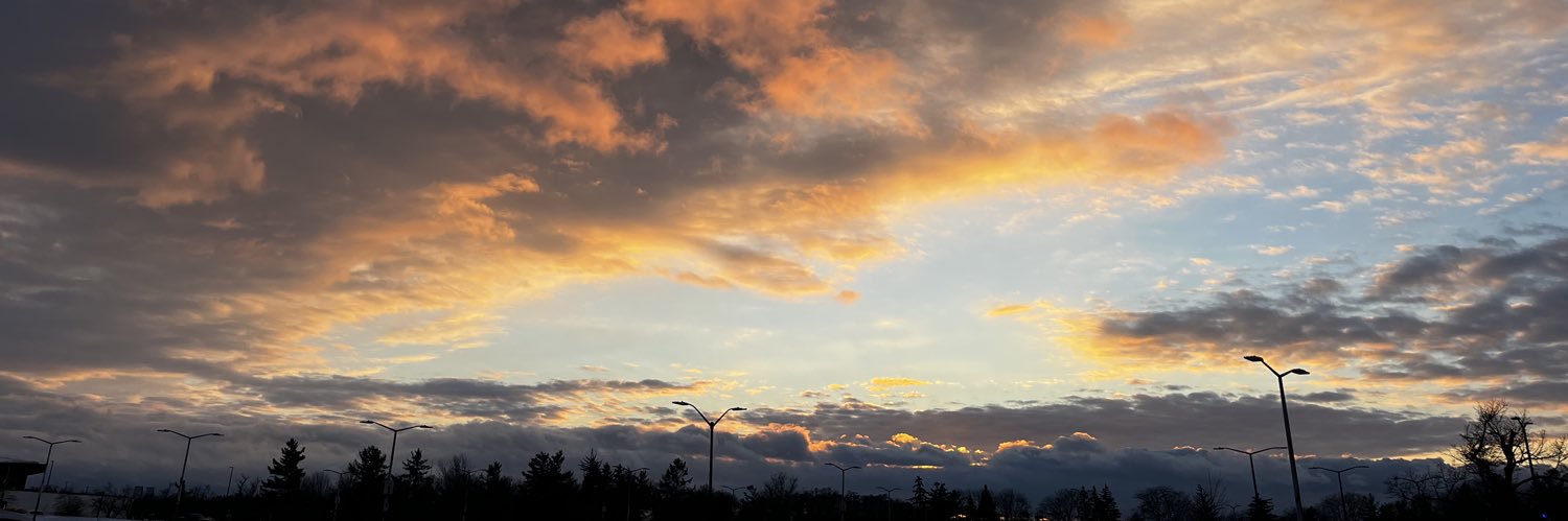therealucille's profile banner image