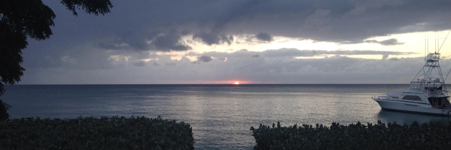 Max Silvester banner