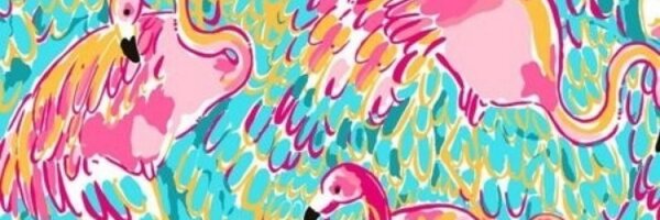 FlamingoPR Profile Banner