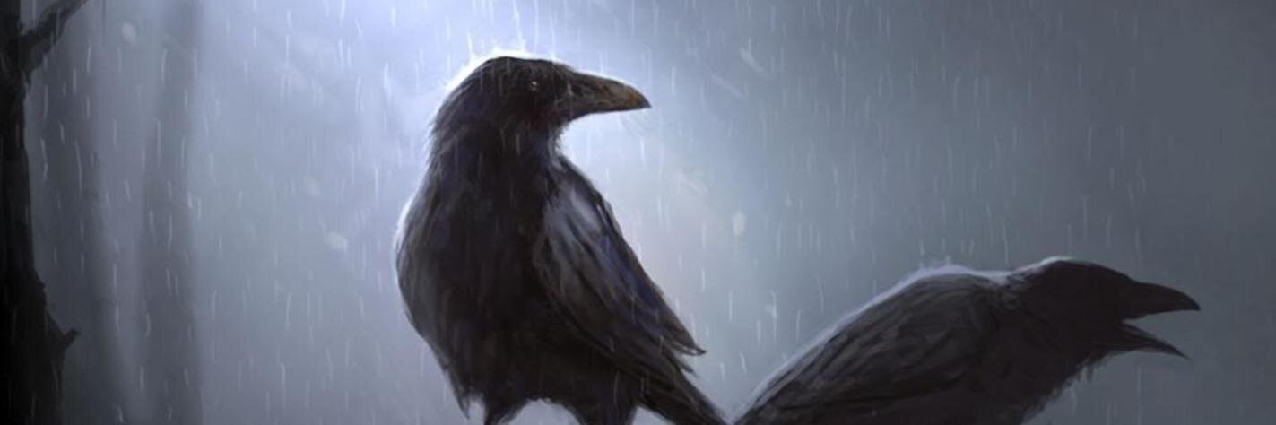 kagacikoglu's profile banner image