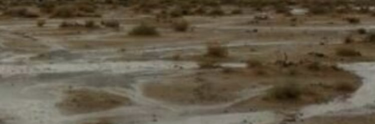 فهد شارع banner