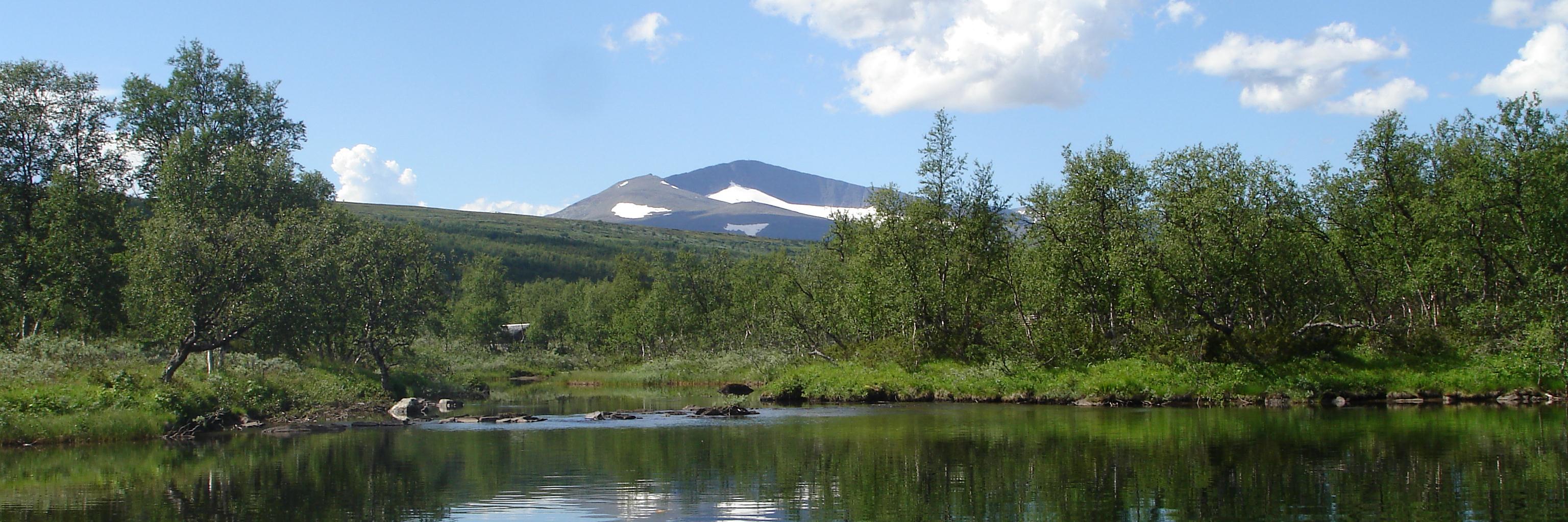Anna_Lidberg's profile banner image