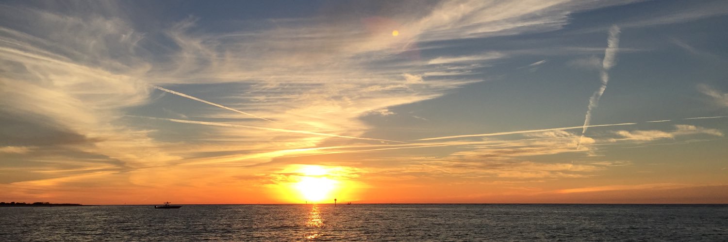 johnnyroggio's profile banner image